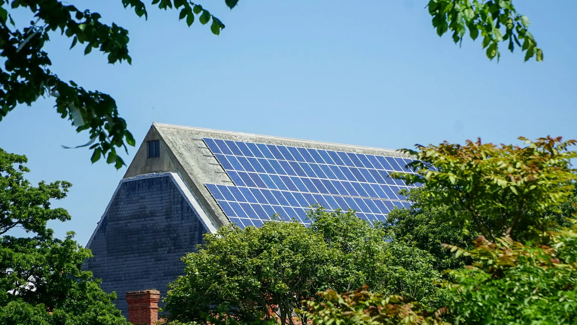 Solar array on the steep roof of a house partly hidden by summer trees