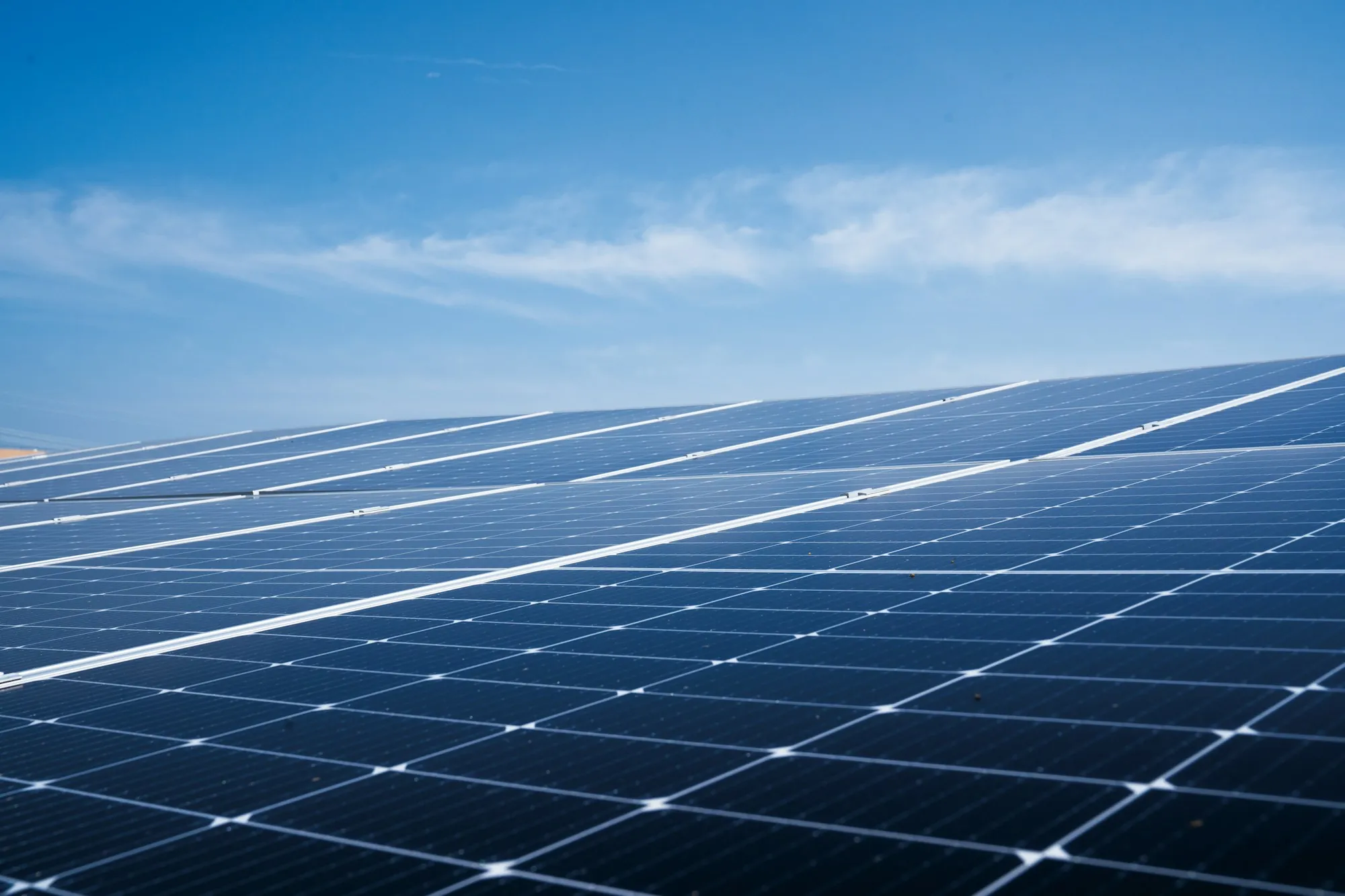 Blue solar panels stretching toward the sky on a sunny day